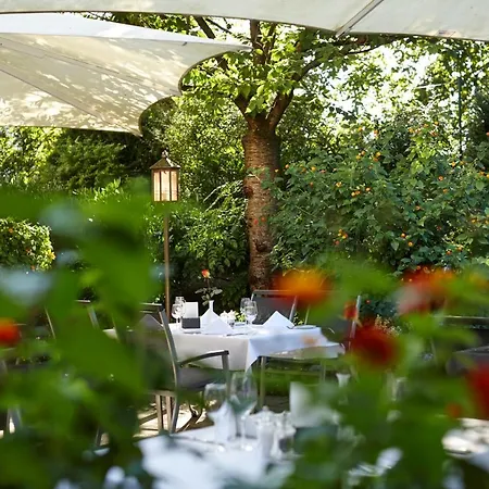 Dehner Blumen 4*