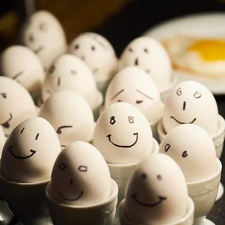 Hotel Dehner Blumen 4*