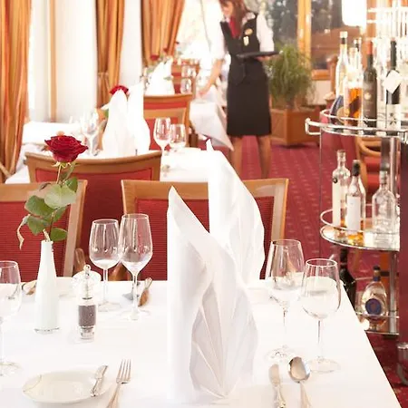 Dehner Blumen 4* Rain (Swabia)