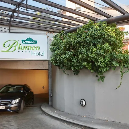 Dehner Blumen Rain (Swabia)