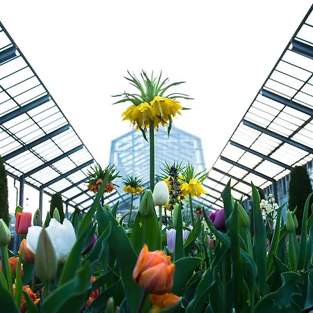 فندق Dehner Blumen 4*